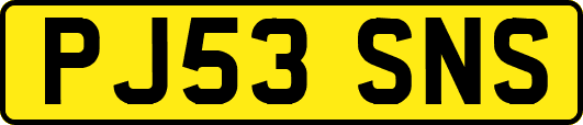 PJ53SNS