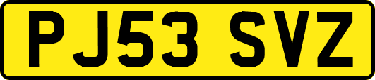 PJ53SVZ