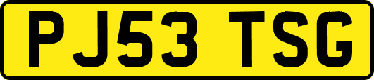PJ53TSG