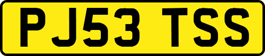 PJ53TSS