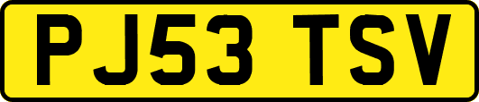 PJ53TSV