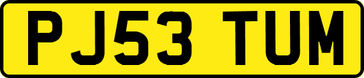 PJ53TUM