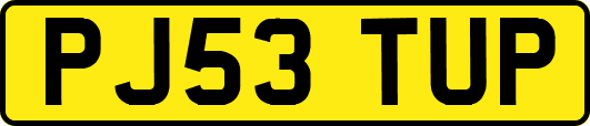 PJ53TUP