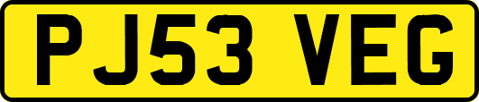 PJ53VEG