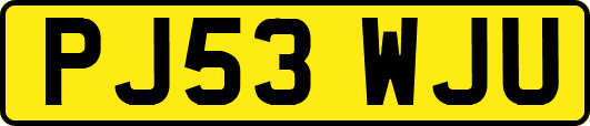 PJ53WJU