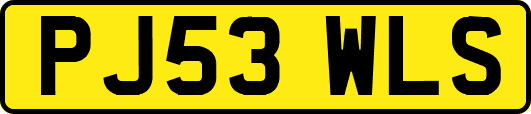 PJ53WLS