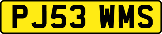 PJ53WMS