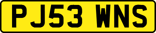 PJ53WNS