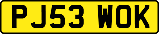 PJ53WOK