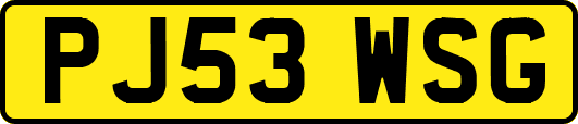 PJ53WSG