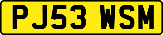 PJ53WSM