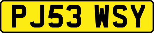 PJ53WSY