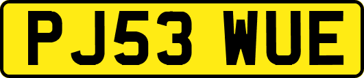 PJ53WUE