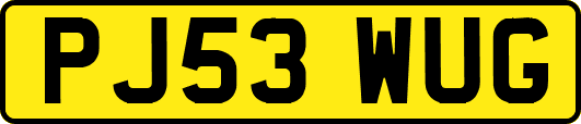 PJ53WUG