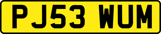PJ53WUM