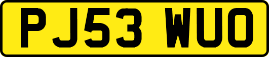 PJ53WUO