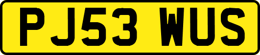 PJ53WUS