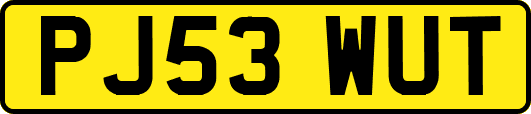 PJ53WUT