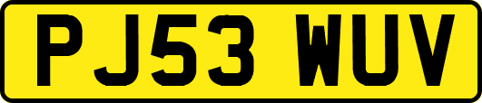 PJ53WUV