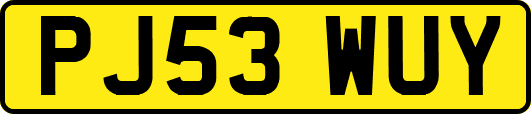 PJ53WUY