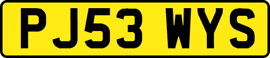 PJ53WYS