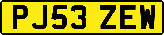 PJ53ZEW