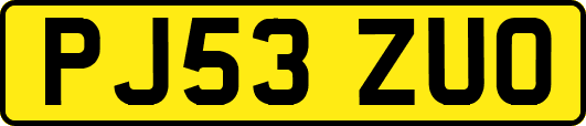 PJ53ZUO