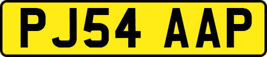 PJ54AAP