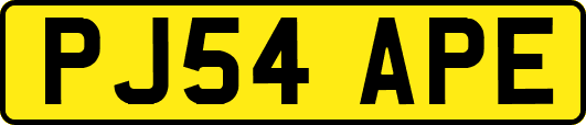 PJ54APE