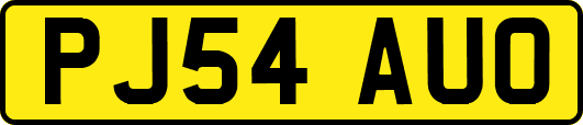 PJ54AUO