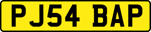 PJ54BAP