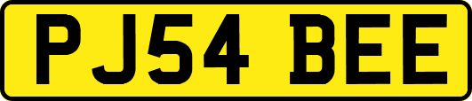 PJ54BEE