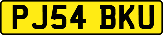 PJ54BKU
