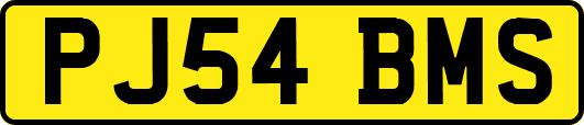 PJ54BMS