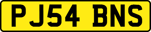 PJ54BNS