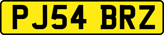 PJ54BRZ