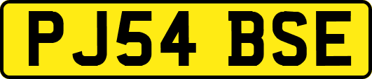 PJ54BSE