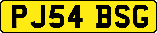 PJ54BSG