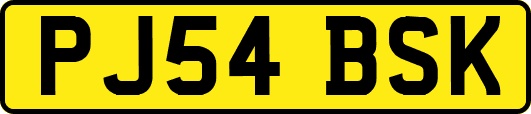 PJ54BSK