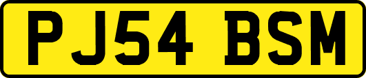 PJ54BSM