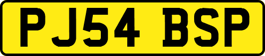 PJ54BSP