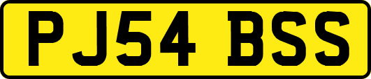 PJ54BSS