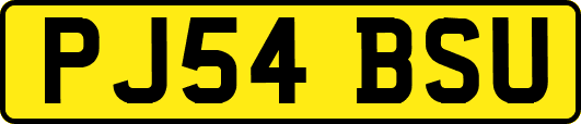 PJ54BSU