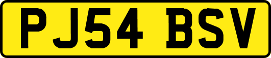 PJ54BSV
