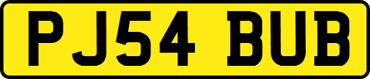 PJ54BUB