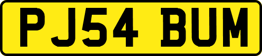 PJ54BUM