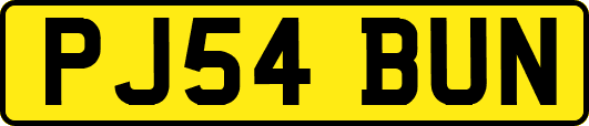 PJ54BUN