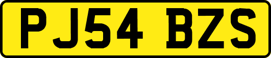 PJ54BZS