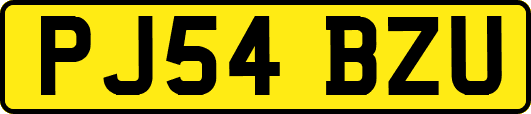 PJ54BZU