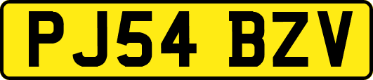 PJ54BZV